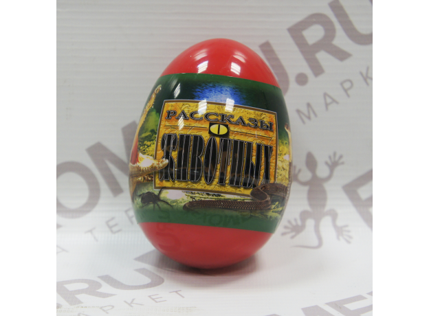 Набор "Жуки,змеи и крокодилы" в цв.яйцах