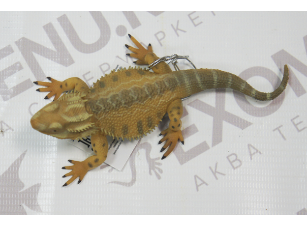 Фигурка "Бородатая агама" Bearded Dragon Lizard