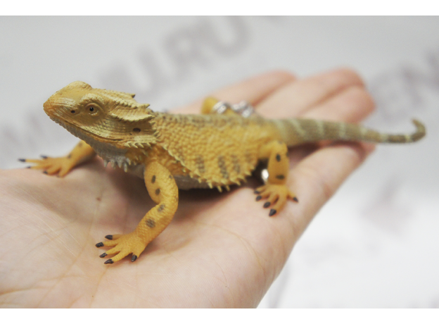 Фигурка "Бородатая агама" Bearded Dragon Lizard