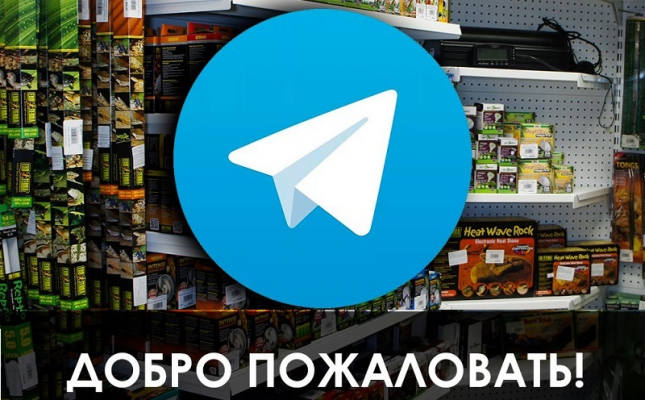 У нас появился канал в Telegram!