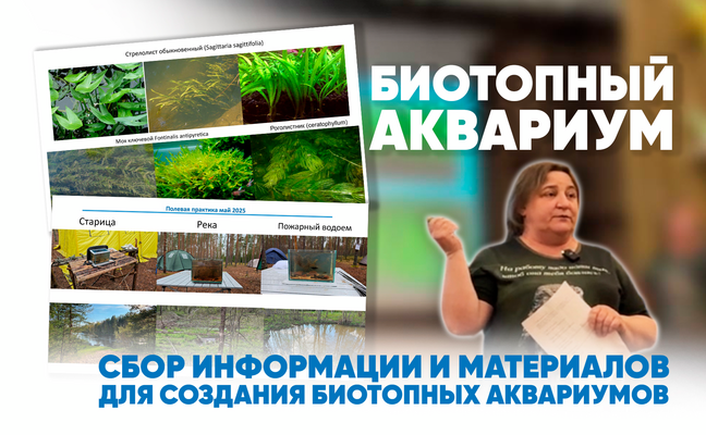 Лекция: Сбор информации и материалов для создания биотопных аквариумов.