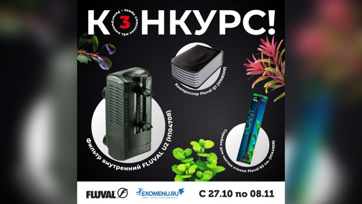 УЧАСТВУЙТЕ В НАШИХ НОВЫХ КОНКУРСАХ! 