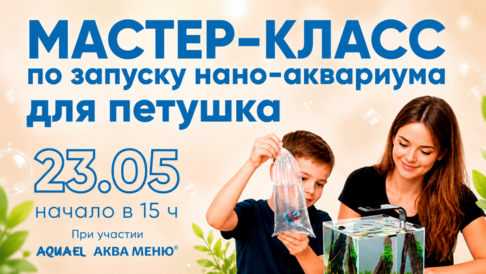 МАСТЕР – КЛАСС ПО ЗАПУСКУ НАНО – АКВАРИУМА ДЛЯ ПЕТУШКА 23.05