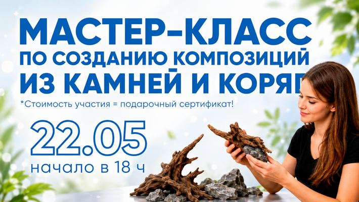 МАСТЕР – КЛАСС ПО СОЗДАНИЮ КОМПОЗИЦИИ ИЗ КАМНЕЙ И КОРЯГ 22.05