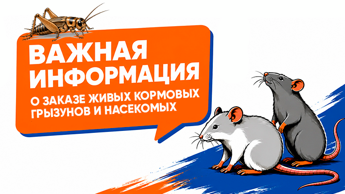 Правила заказа кормовых грызунов и насекомых!
