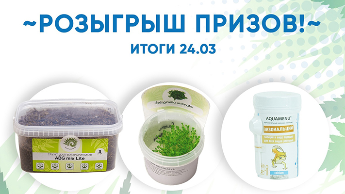 Розыгрыш от EXOMENU.RU и FLORARIUMPLANTS! 