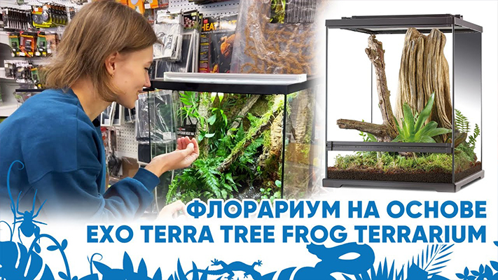 Флорариум на основе объема EXO TERRA FROG TERRARIUM.