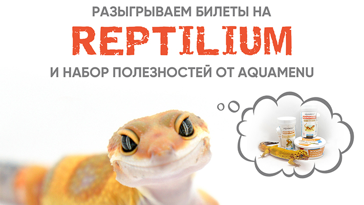 РОЗЫГРЫШ от EXOMENU и выставки REPTILIUM!