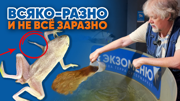 Аквариумные новости с Владимиром Ковалёвым (16.05.2025)