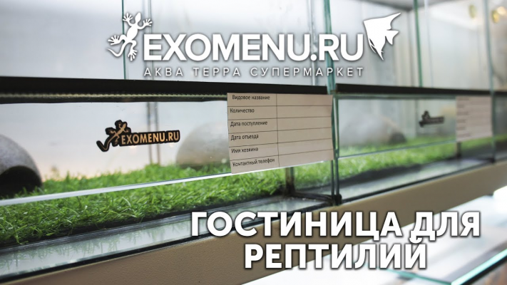 Гостиница для экзотических питомцев EXOMENU 