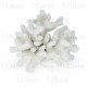 UDeco Finger Coral XS- Коралл пальчиковый XS