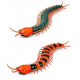 Сороконожка Scolopendra на Р/У в коробке