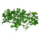 LUCKY REPTILE Декоративное растение для террариумов "Gape Leaf Vine", 200см