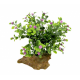 LUCKY REPTILE Декоративное растение для террариумов "Desert Bush", 15см