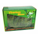Мох LUCKY REPTILE Vivarium, 150 г