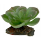 LUCKY REPTILE Декоративное растение для террариумов "Echeveria", зеленое с красным, 8см