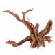 Корень азалии AZALEA ROOT, 40-60 см (цена за 1 кг)