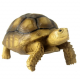 Игрушка черепаха Sulcata M