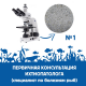 Консультация ихтиопатолога