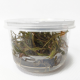 Криптокорина ржавая (Cryptocoryne ferruginea sekadauensis) (меристема)