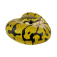 Коллекционная фигурка Королевский питон (Python regius)
