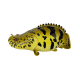 Коллекционная фигурка Полиптерус Эндлихера (Polypterus endlicherii)