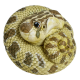 Коллекционная фигурка Свиноносый уж (Heterodon nasicus) под заказ