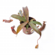 Непентес (Nepenthes Sanquinea)
