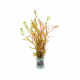 Ротала Манипур (с грузом) (Rotala Manipurensis)