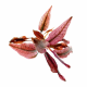 Криптокорина Фламинго (с грузом) (Cryptocoryne sp. Flamingo)