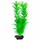 Растение аквариумное Tetra Green Cabomba M с утяжелителем, 23 см