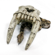 Удав обыкновенный Boa constrictor, S-M (Германия)