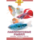 ЛАБИРИНТОВЫЕ РЫБКИ. Петушки, гурами и другие (цвет.)