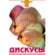 ДИСКУСЫ (цвет)