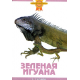 ЗЕЛЕНАЯ ИГУАНА (цвет)
