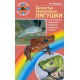 БЕСХВОСТЫЕ ЗЕМНОВОДНЫЕ ЛЯГУШКИ. Опыт успешного содержания