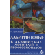 ЛАБИРИНТОВЫЕ В АКВАРИУМАХ ЛЮБИТЕЛЕЙ И ПРОФЕССИОНАЛОВ.