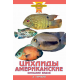 ЦИХЛИДЫ АМЕРИКАНСКИЕ. Описание видов. (цвет.)