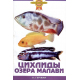 ЦИХЛИДЫ ОЗЕРА МАЛАВИ (цвет.)