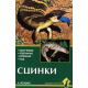 СЦИНКИ. Обзор видов. Содержание. Кормление. Уход