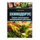 ЭХИНОДОРУС. Самое популярное аквариумное растение (цвет.)