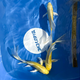 Карп кои Огон вуалевый (Cyprinus Carpio)