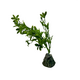 Искусственное растение на подставке Фитодизайн (ос-3), 25х10 см