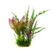 Искусственное растение на подложке Апоногетон 22х18х31см