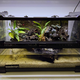 Террариумный комплект "Крабовая лагуна"