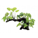 ArtUniq Mangrove Driftwood With Philodendron L - Декоративная композиция из пластика Мангровая коряга с филодендроном, 45x21,5x40 см