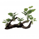 ArtUniq Mangrove Driftwood With Anubias M5 - Декоративная композиция из пластика "Мангровая коряга с анубиасом", 39,5x11x26 см
