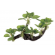 ArtUniq Driftwood With Anubias M1 - Декоративная композиция из пластика "Коряга с анубиасом", 24x9,5x18 см