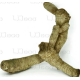 UDeco Bamboo root L - Натуральная коряга "Корень бамбука гладкий" для оформления аквариумов и террариумов, 1 шт.