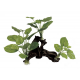 ArtUniq Mangrove Driftwood With Anubias S2 - Декоративная композиция из пластика "Мангровая коряга с анубиасом", 20x8x24 см